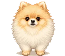 Nomi
