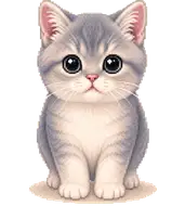 Taro